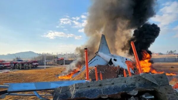 দক্ষিণ কোরিয়ায় ভয়াবহ বিমান দুর্ঘটনায় নিহত ১৭৯